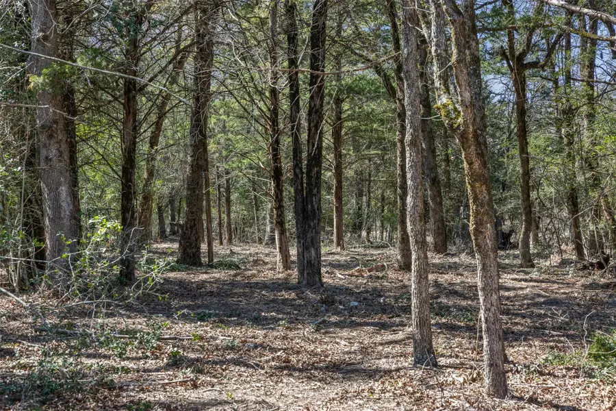 4.81 AC Pauline Ln, Caldwell, TX 77836 - #2