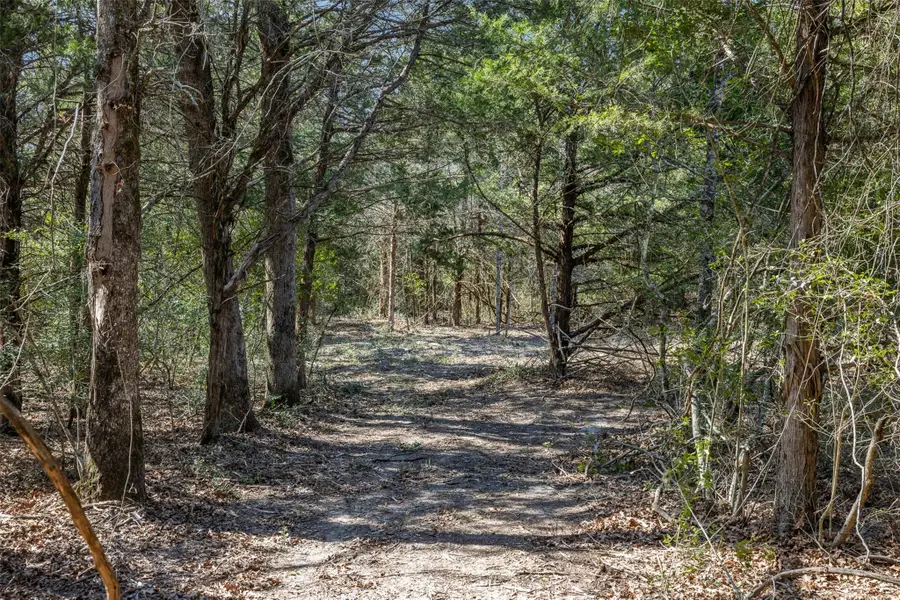 4.81 AC Pauline Ln, Caldwell, TX 77836 - #3