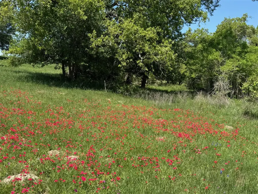 3817 Fm 154 Rd, Muldoon, TX 78949 - #3
