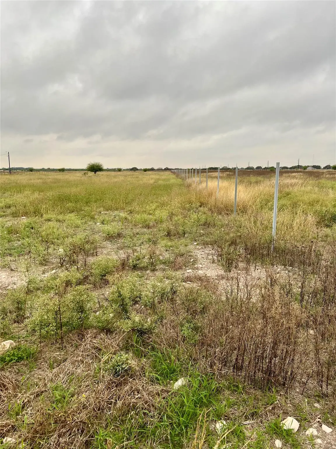 TBD Lot 14 C.r. 520, D Hanis, TX 78850 - Image #1