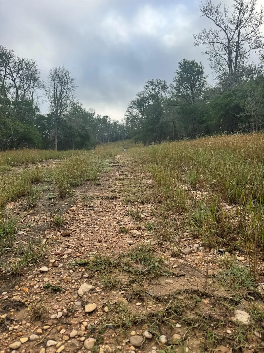 107 and 109 Hauula Ct, Bastrop, TX 78602 - #2