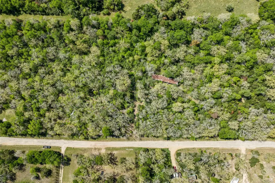 1156 Deerwood Dr, Elgin, TX 78621 - #3