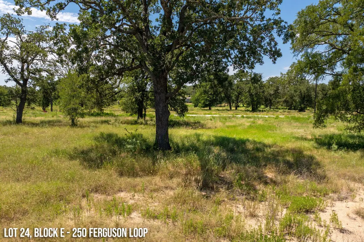 250 Ferguson Loop, Dale, TX 78616 - #1