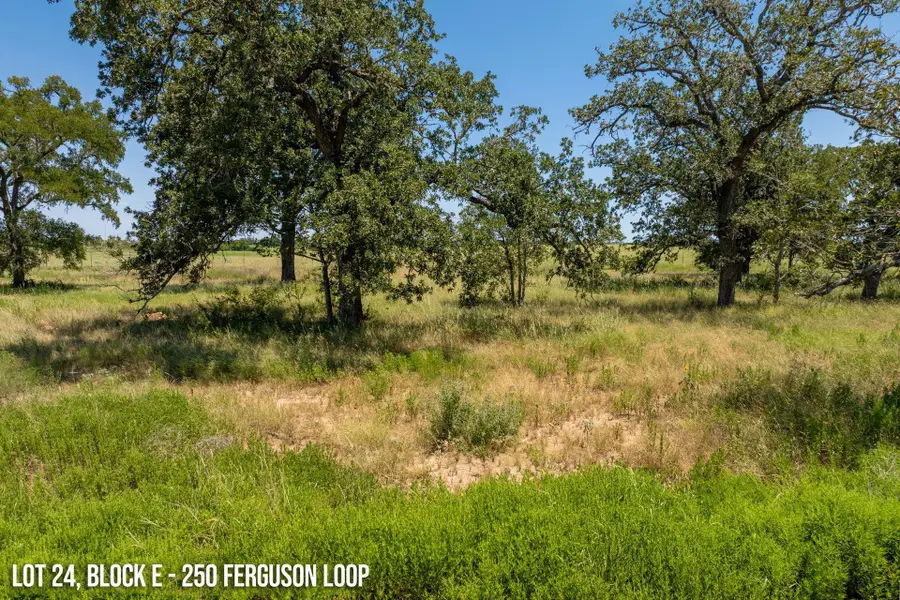 250 Ferguson Loop, Dale, TX 78616 - #2