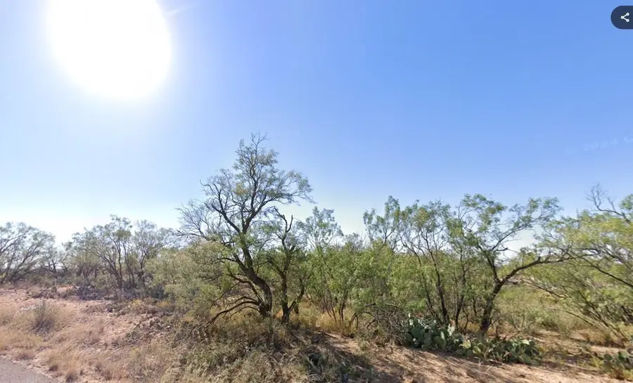 0 Dallas St, Colorado City, TX 79512 - Image #2