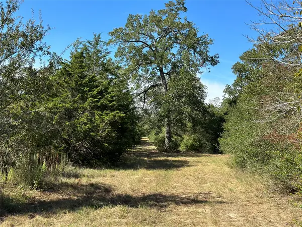 105 Colony Line Trl, Dale, TX 78616