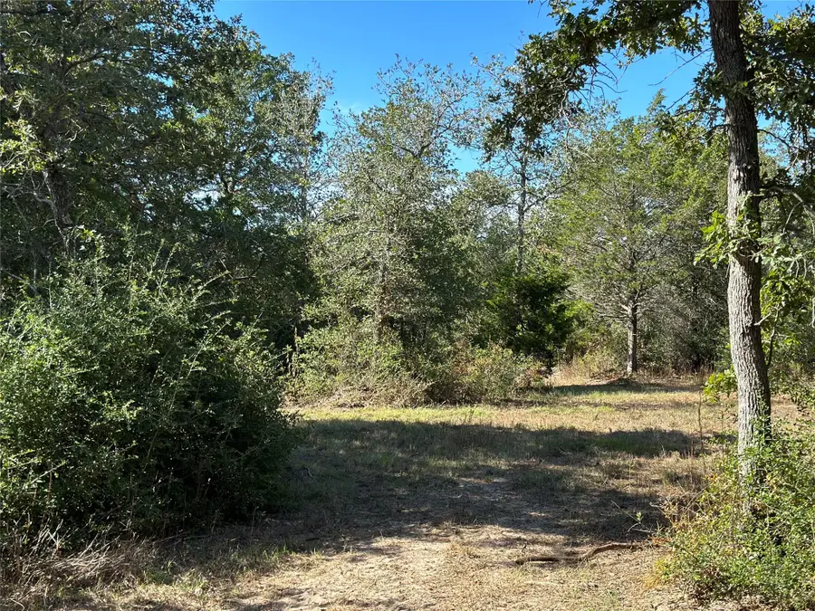 105 Colony Line Trl, Dale, TX 78616 - #2