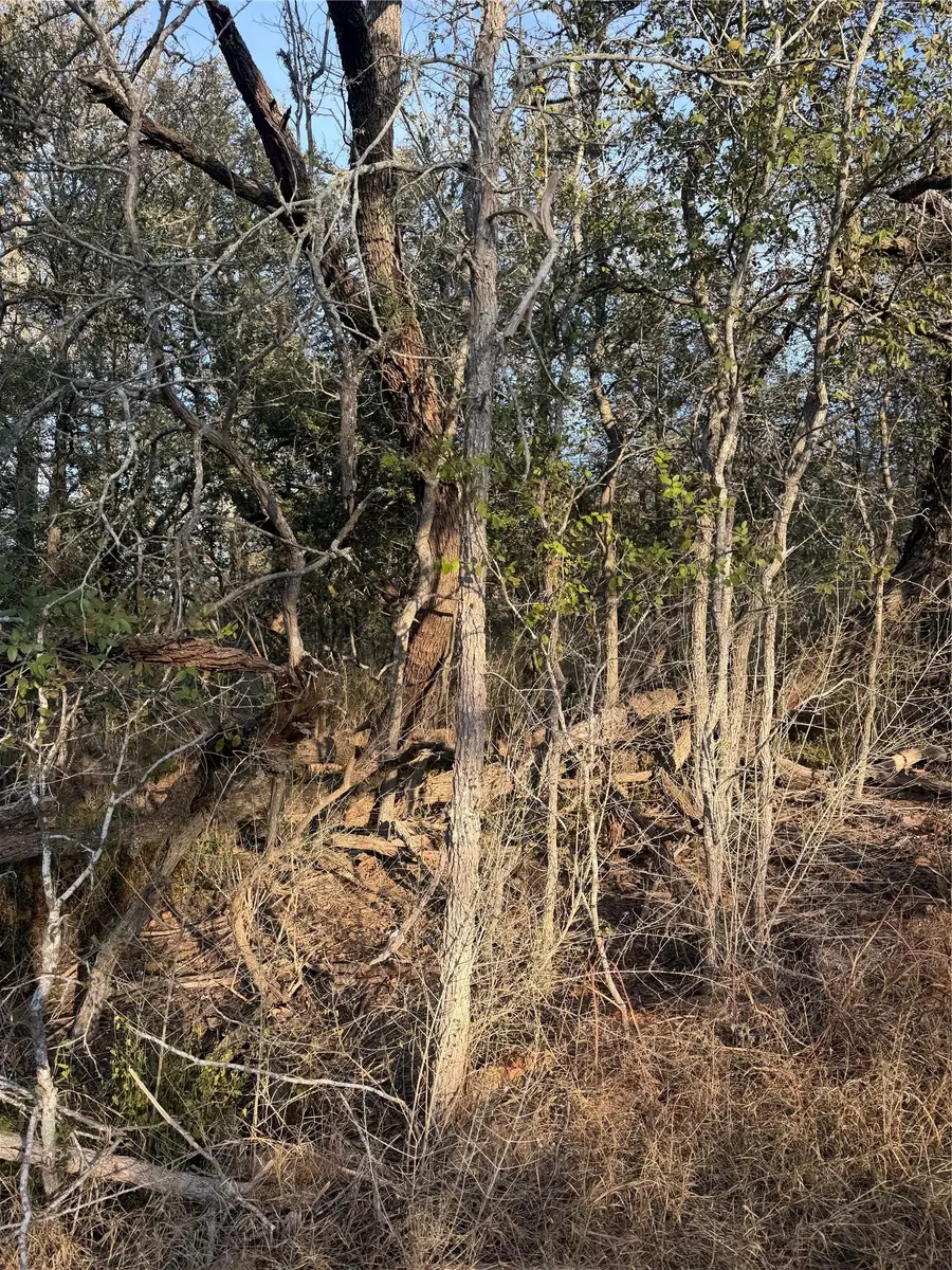 156 and 160 Helemano Dr, Bastrop, TX 78602 - #2