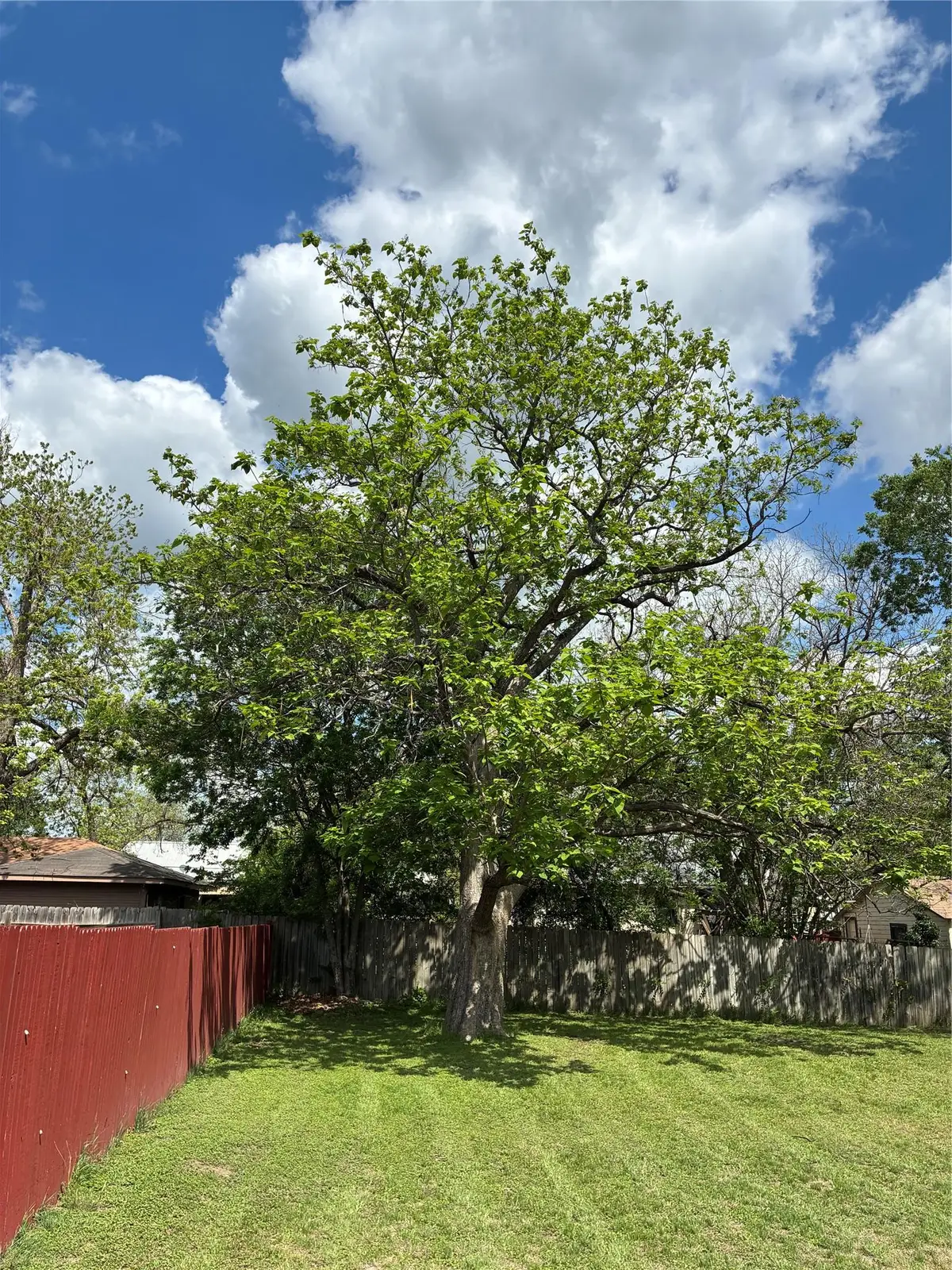 106 N 6th St, Thorndale, TX 76577 - #1