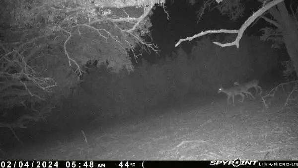 180 Robison Rd, Bertram, TX 78605 - #3