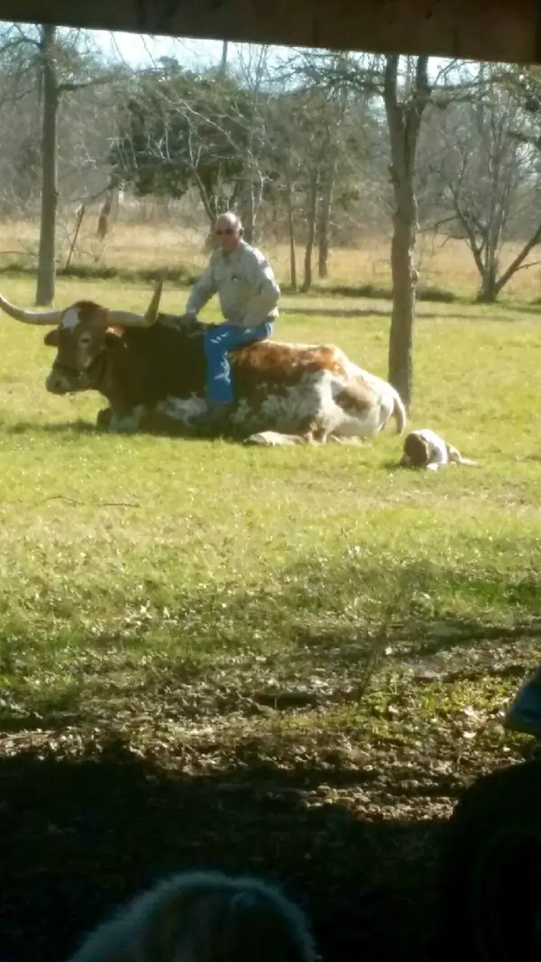 7406 Nez Perce Trce, Manor, TX 78653