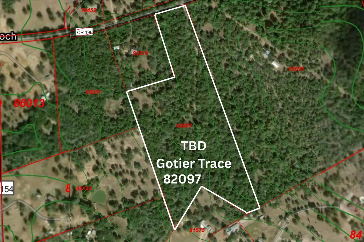 TBD Gotier Trace Rd, Paige, TX 78659 - #1