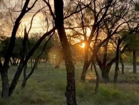 495 Buffalo Creek Drive (lot 95) Dr, Evant, TX 76525 - #1