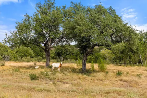 136 Legacy Hills Dr, Johnson City, TX 78636