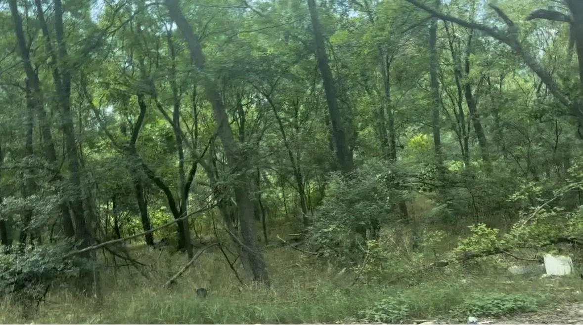 4200 Imperial Dr, Austin, TX 78725 - Image #1