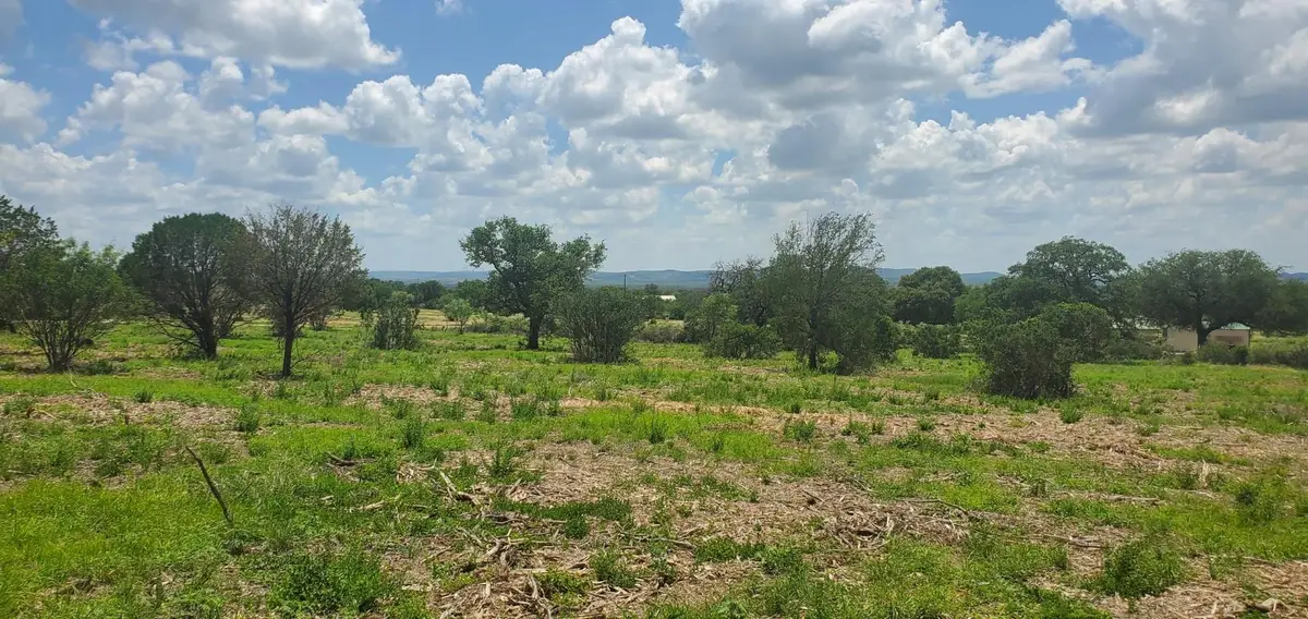 Tract 6 Lehne Loop, Buchanan Dam, TX 78609 - #1