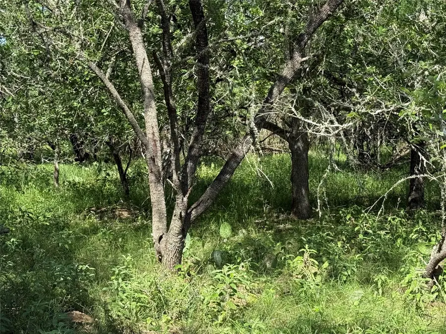 236 Mokulua Ln, Bastrop, TX 78602 - #2