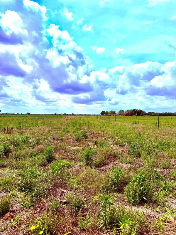 4421 Polak Rd Rd, Orchard, TX 77485
