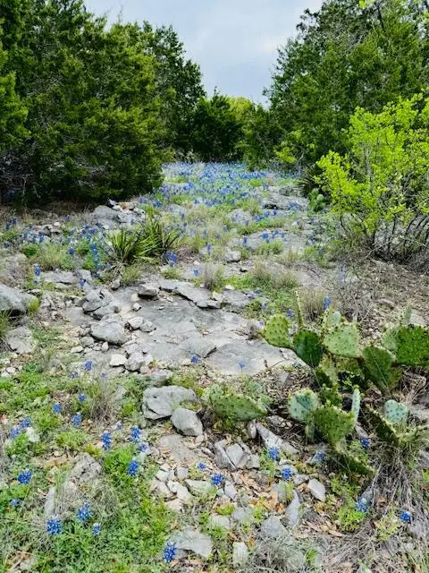 Lot 13 & 14 Twisted Oak, Horseshoe Bay, TX 78654 - #3