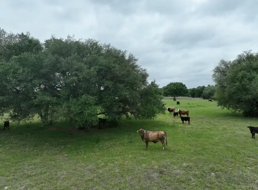 TBD Lot 5 County Road 127 Rd, Ledbetter, TX 78946 - #3