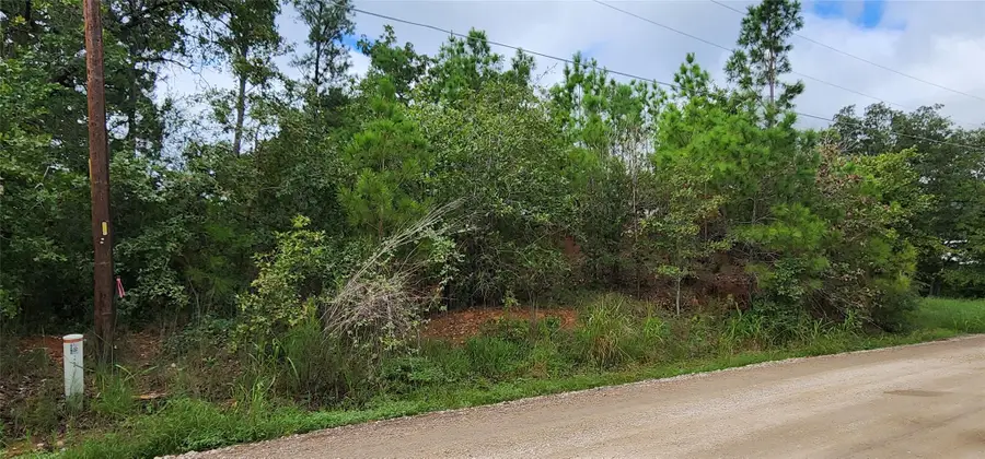 TBD Makaha Dr, Bastrop, TX 78602 - #3