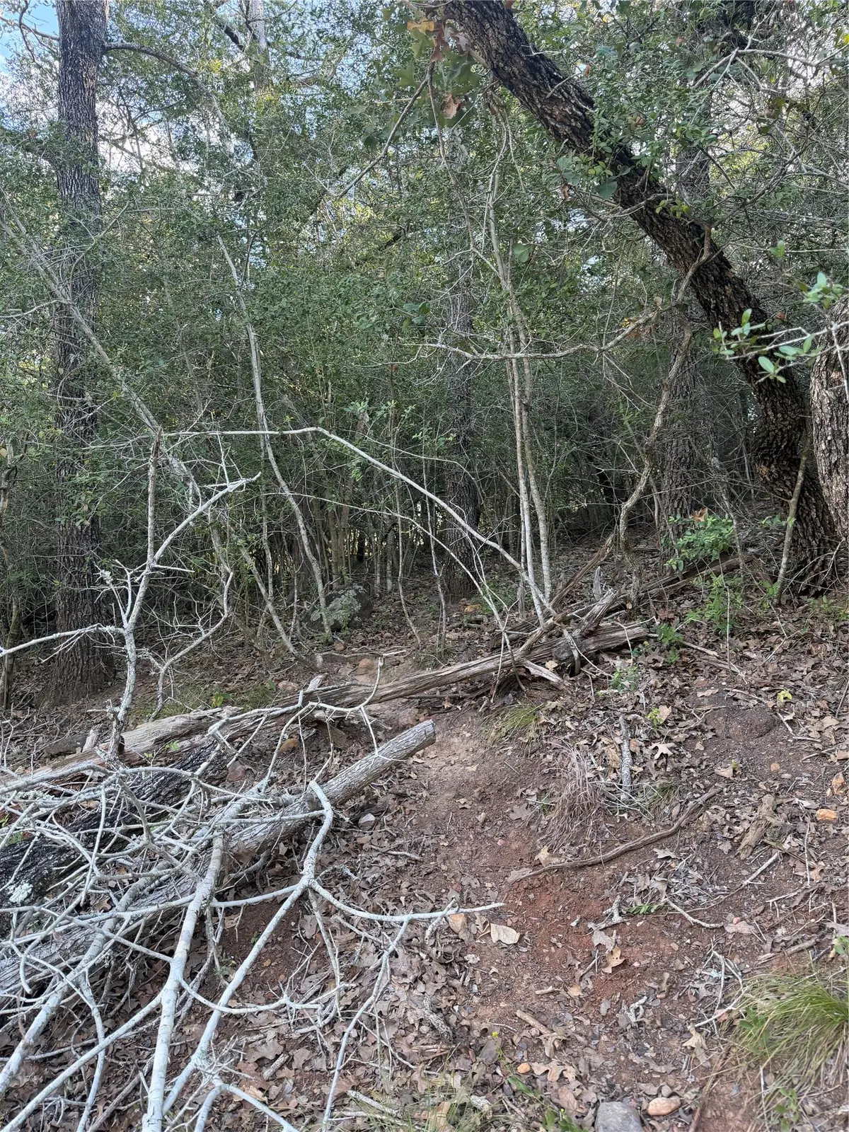 Lot 376 Palikea Cir, Bastrop, TX 78602 - #1