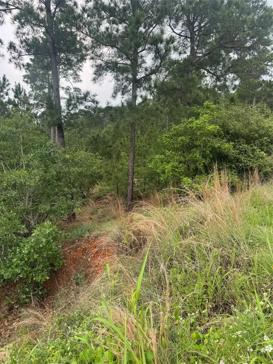 Lots 1612, 1613, 1614 Kaanapali Ln, Bastrop, TX 78602 - #3