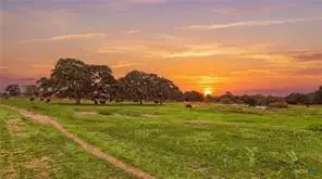 43 Rice Rd, Yoakum, TX 77995