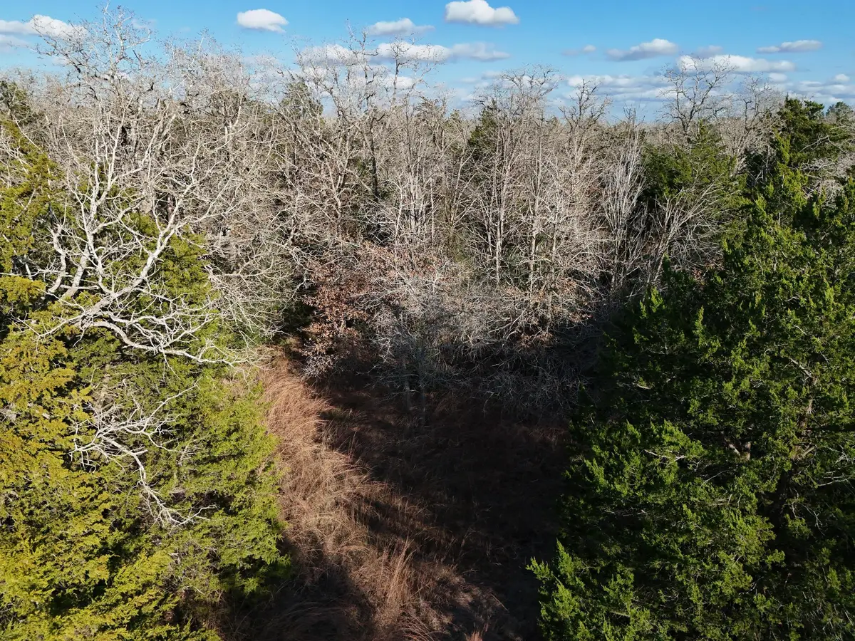 Lot 14 & Lot 15 Antioch Rd, Paige, TX 78659 - #1