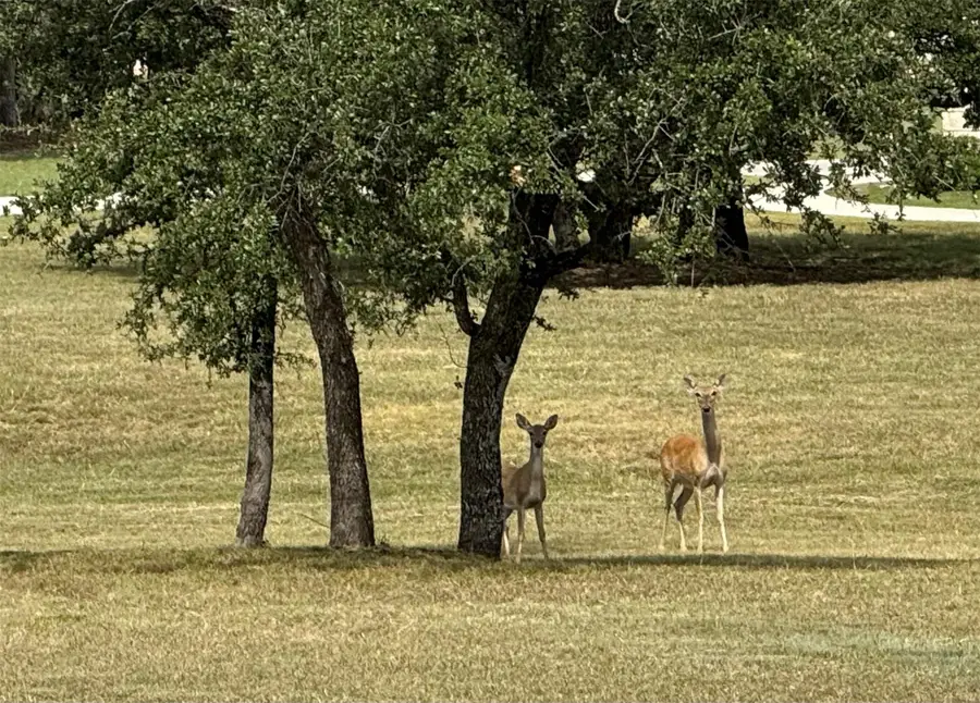 TBD Cloudwood Ranch Rd, Briggs, TX 78608 - Image #3