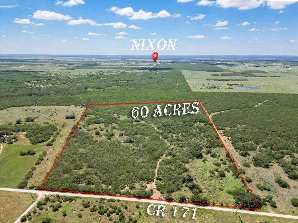 TBD County Rd 171 Rd, Nixon, TX 78140 - Image #1