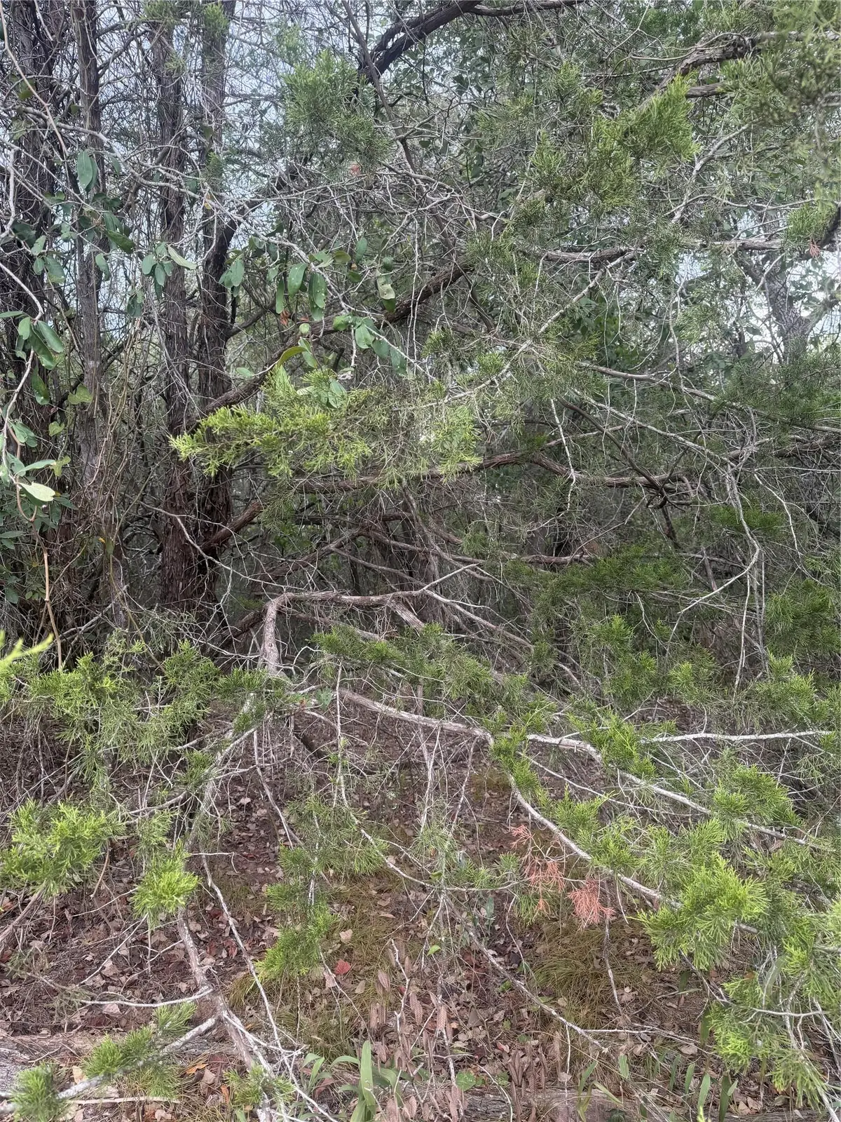 223 Mokulua Ln, Bastrop, TX 78602 - #1