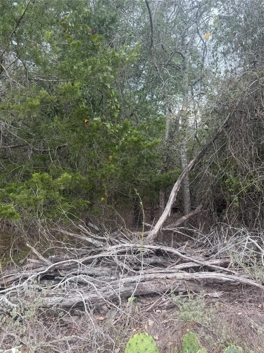 223 Mokulua Ln, Bastrop, TX 78602 - #3