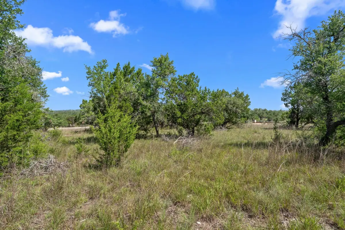 32000 Mirela Ann Rd, Dripping Springs, TX 78620 - #1