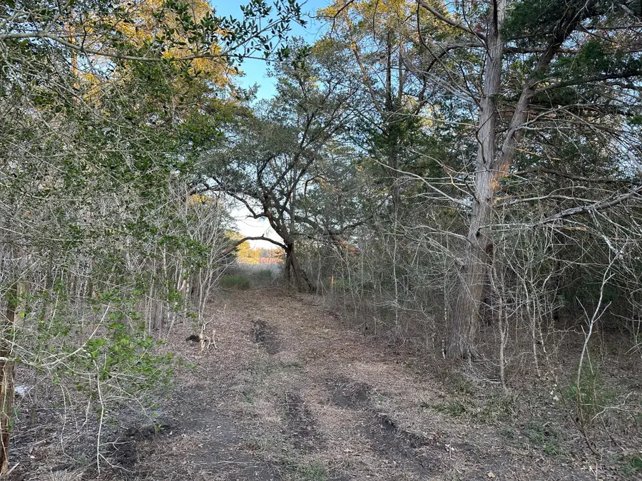 303 Fm 609 Rd, Flatonia, TX 78941 - Image #3