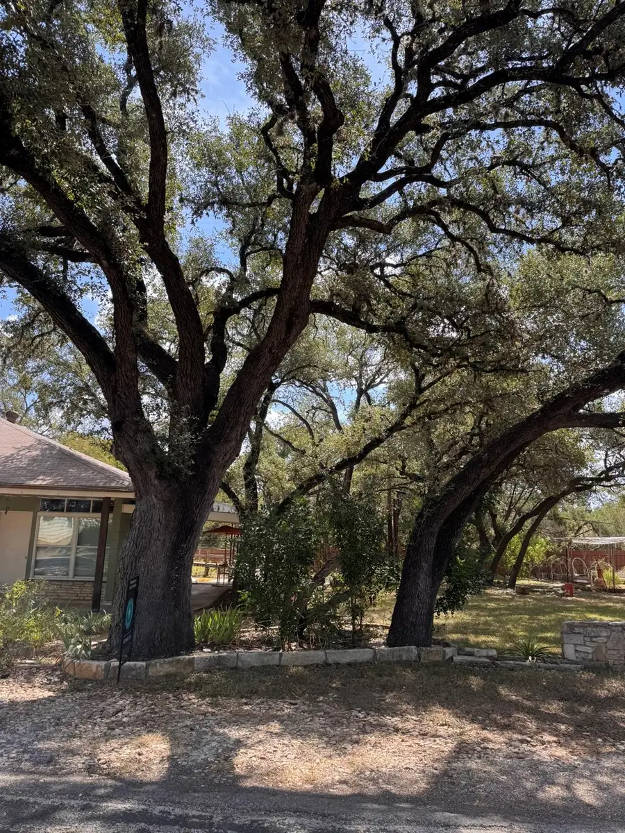 13 Presidio Rd, Wimberley, TX 78676 - #3