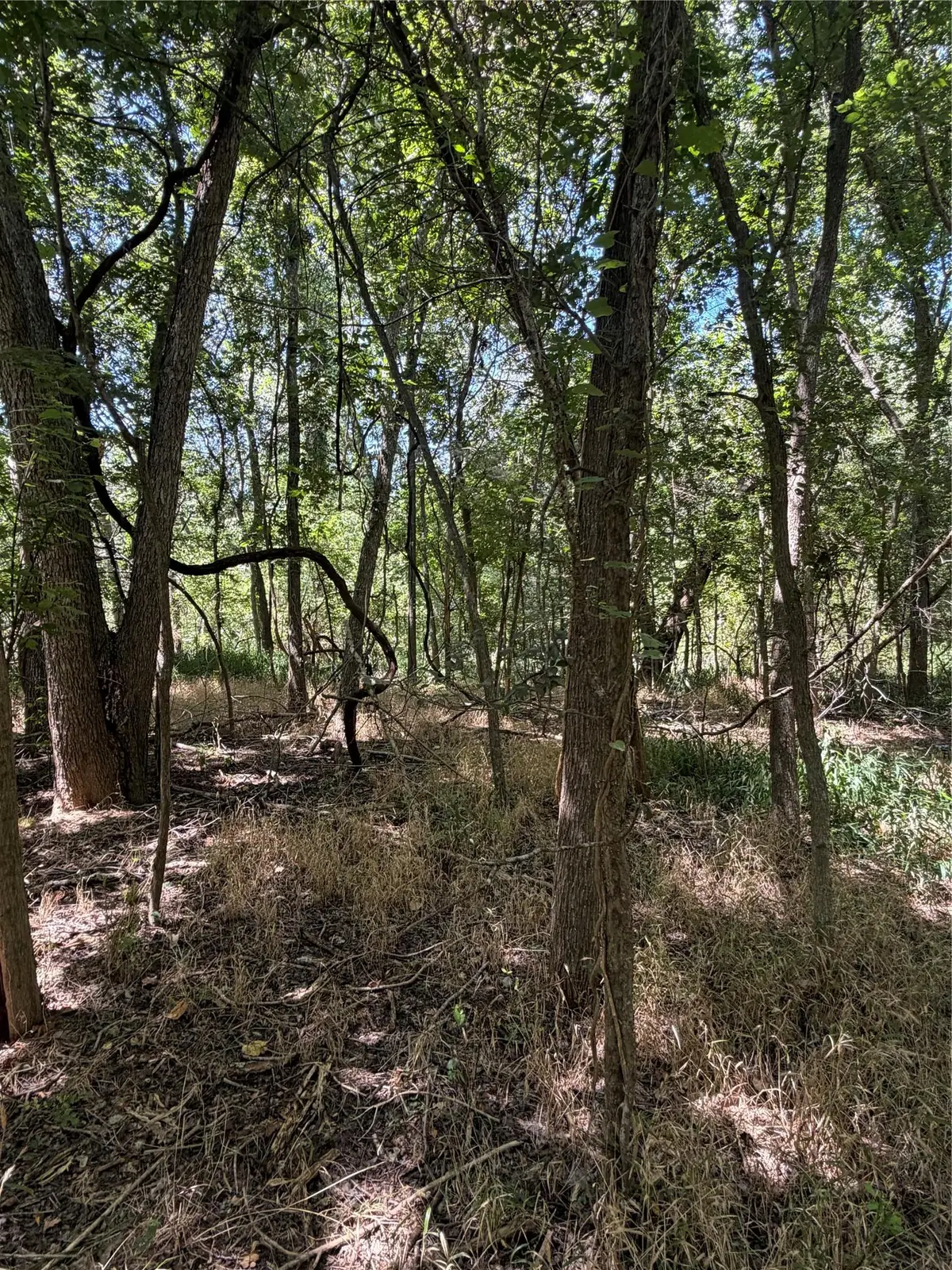 Lot 677 Kaukonahua Ln, Bastrop, TX 78602 - #1