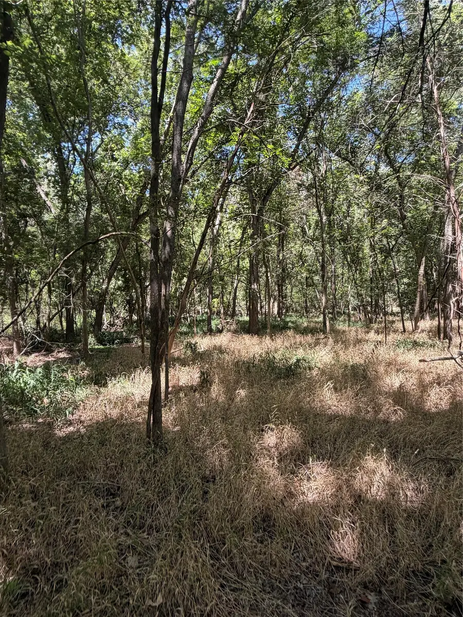 Lot 677 Kaukonahua Ln, Bastrop, TX 78602 - #2