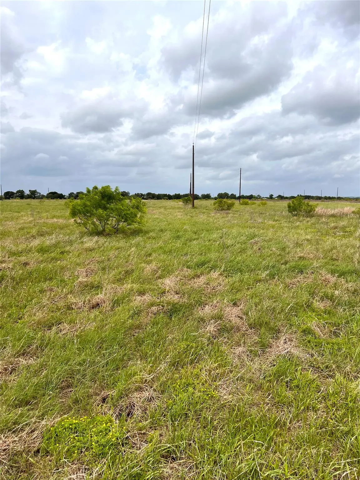 TBD Lot 2 Fm 112 Rds, Thrall, TX 76578 - #1