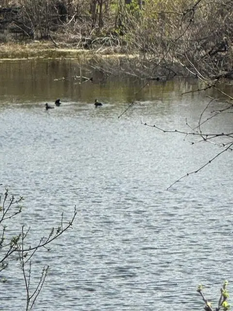 Lot K8023 Dew Drop, Horseshoe Bay, TX 78657 - Image #1