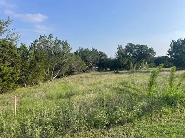 7205 Celebration Ct, Jonestown, TX 78645 - #1