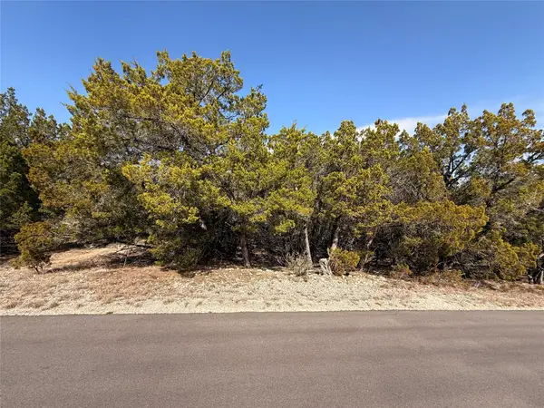 20206 Lee Ln, Lago Vista, TX 78645