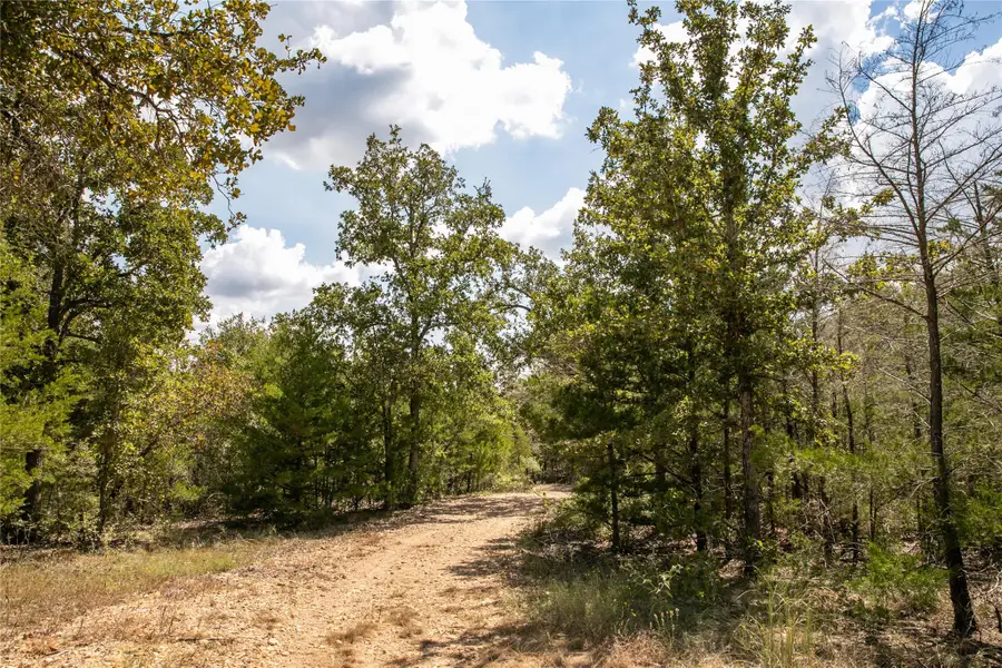 TBD Fm 180, Ledbetter, TX 78946 - #2