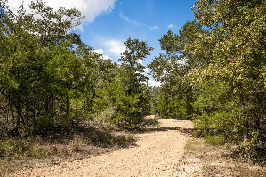 TBD Fm 180, Ledbetter, TX 78946 - #3