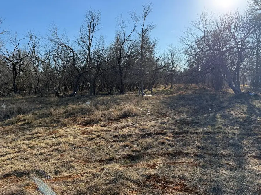 133 Chandler Cv, Cedar Creek, TX 78612 - #3