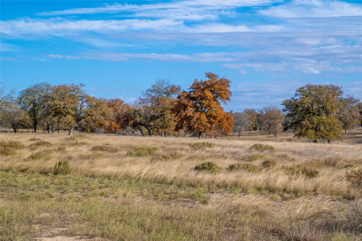 847 Littlehorn Ln, Stockdale, TX 78160 - Image #1