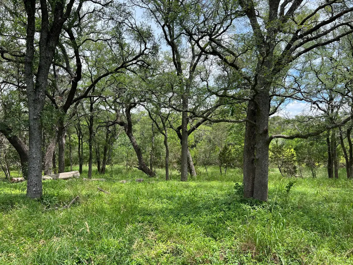 TBD Lot PT 19 Narrows Rd, Blanco, TX 78606 - #1