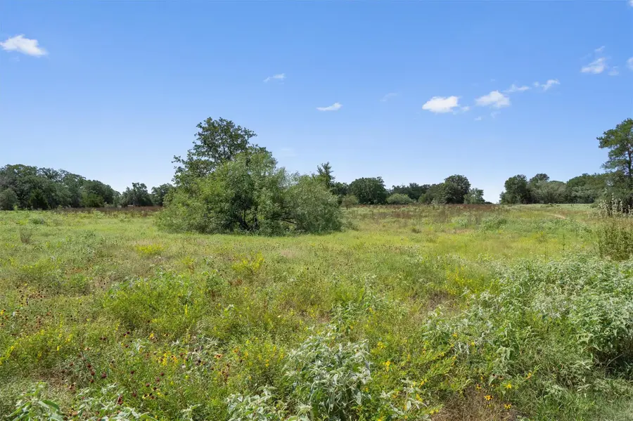 000 Josie Ln, Bastrop, TX 78602 - #3
