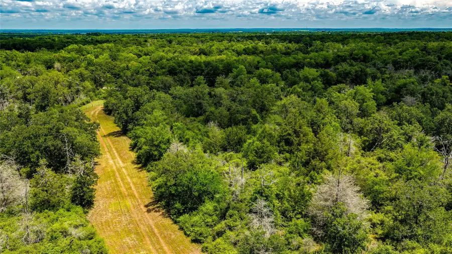 1470 22 Hills Rd, Gause, TX 77857 - #3