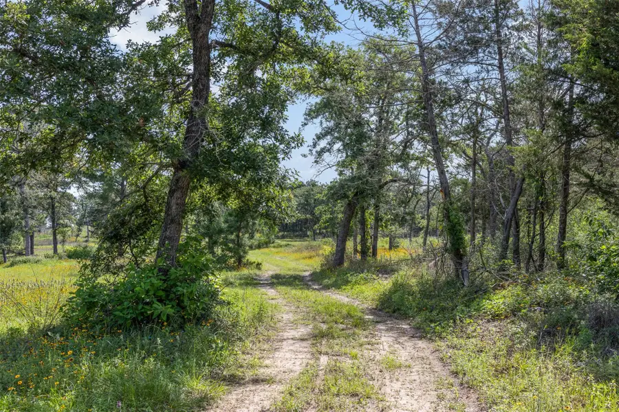 305 Cistern Rd, Rosanky, TX 78953 - #2